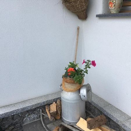 Chalets Aue Hart im Zillertal Luaran gambar